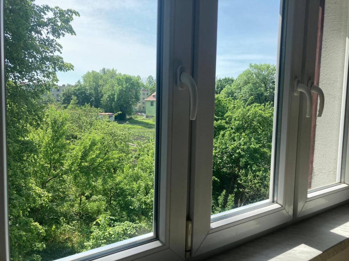 Apartament Karolewo Karolewo  Εξωτερικό φωτογραφία